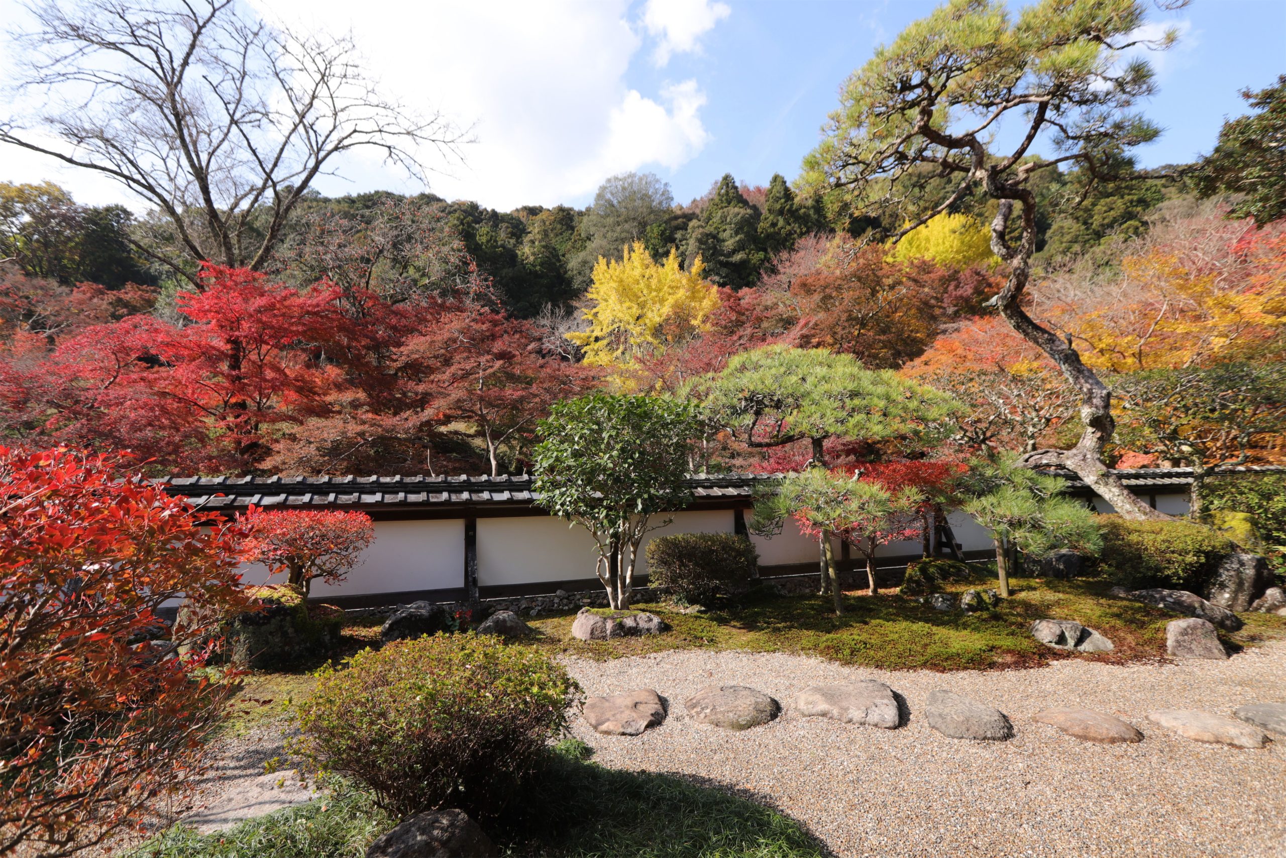 日本酒造りの源流へタイムスリップ　第3話「どぶろく」から「清酒」の世界へ