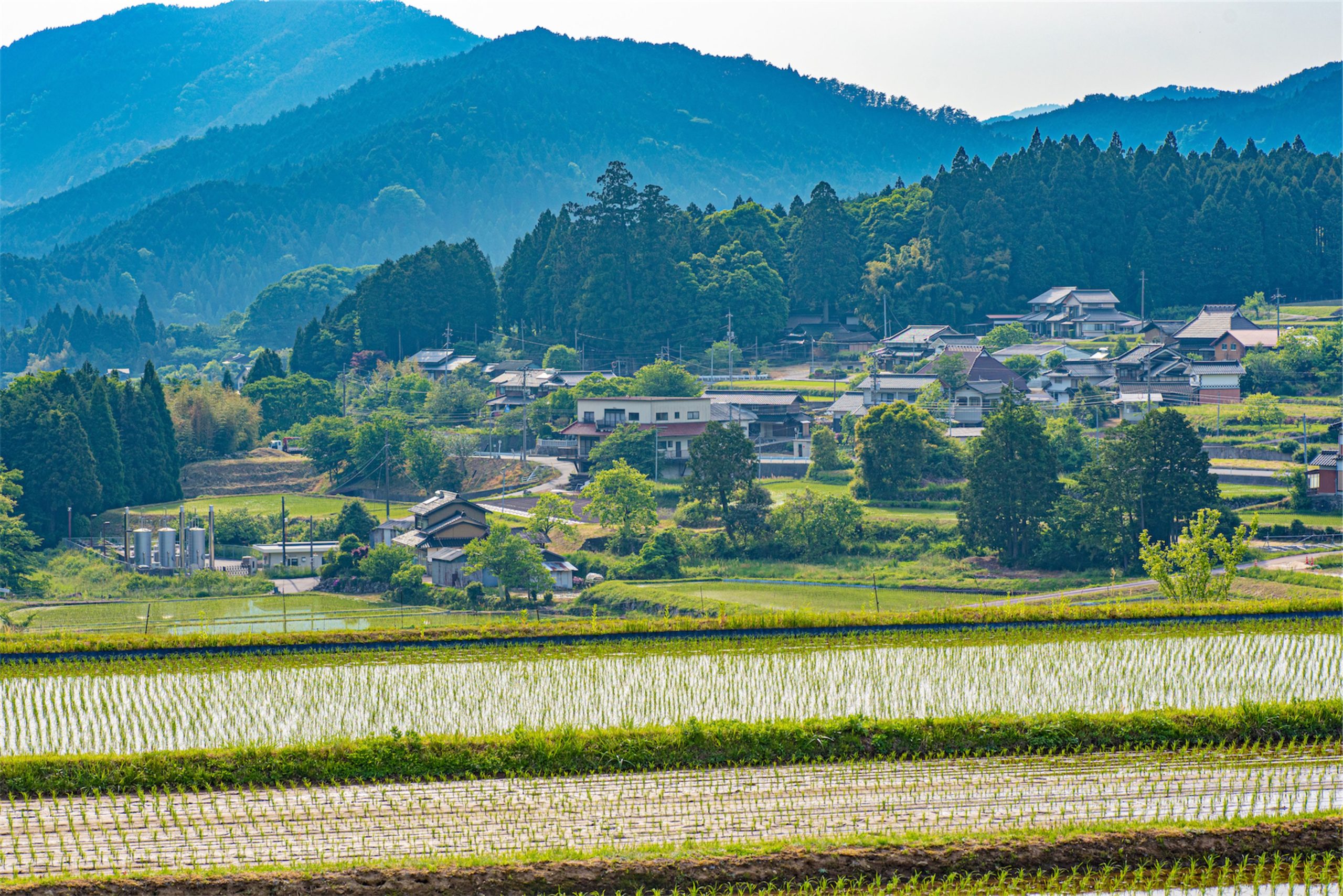日本酒造りの源流へタイムスリップ　第1話「風土記」の世界の酒造り（その２）