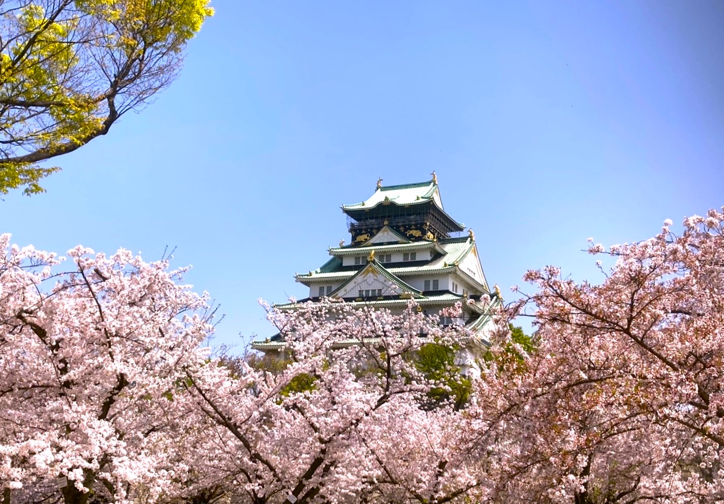日本酒は日本文化のルーツである